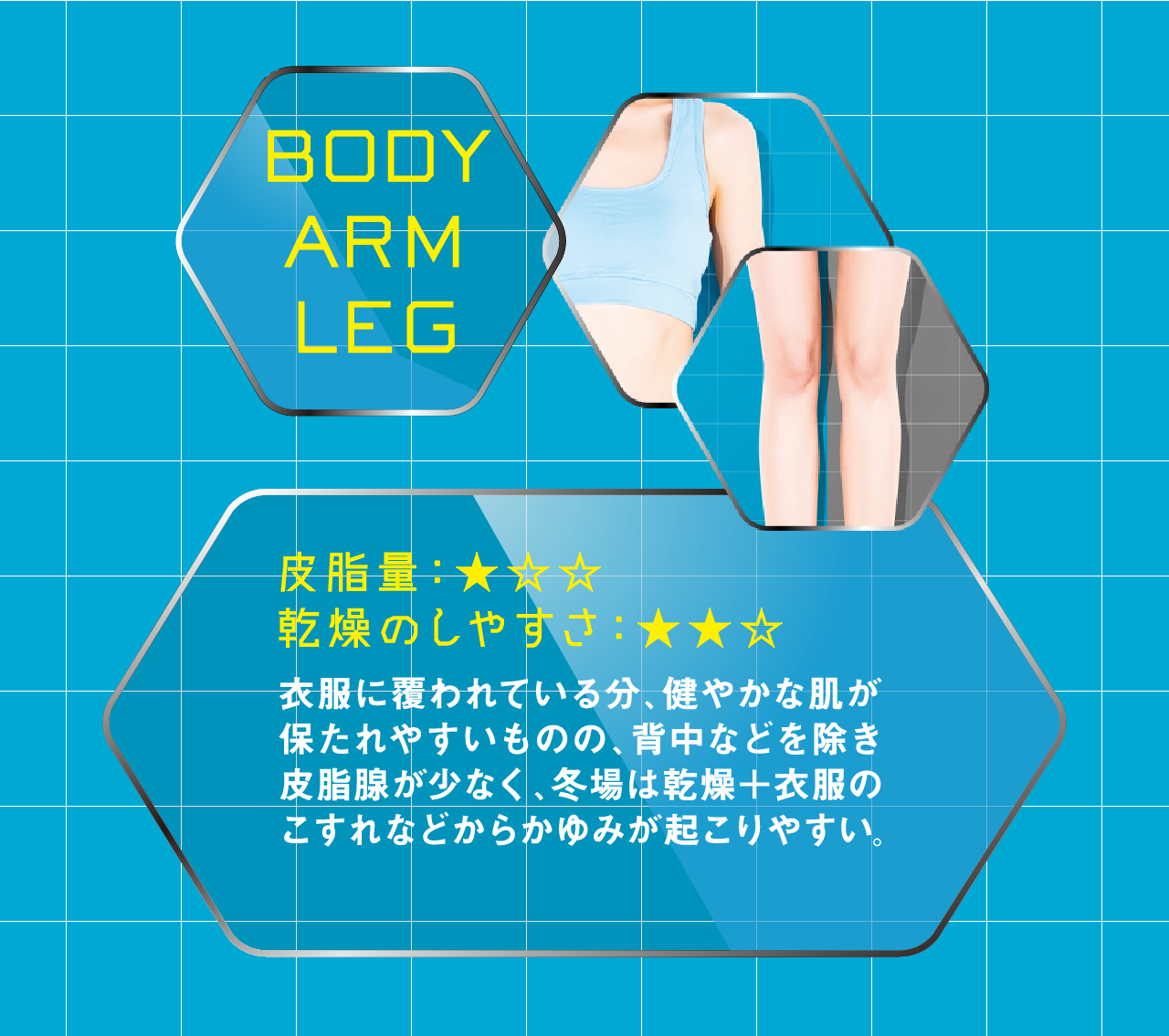BODY ARM LEG