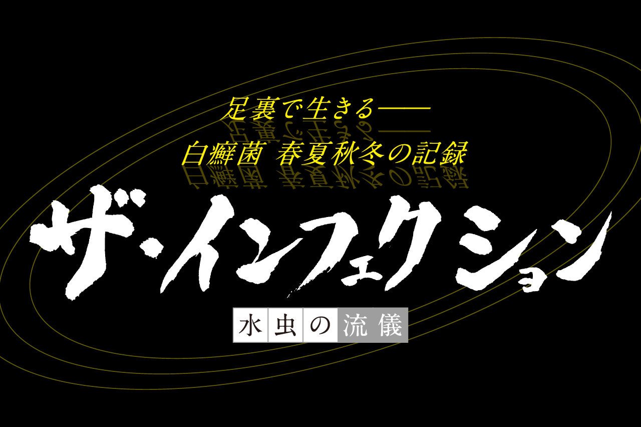 ザ・インフェクション_アイキャッチ