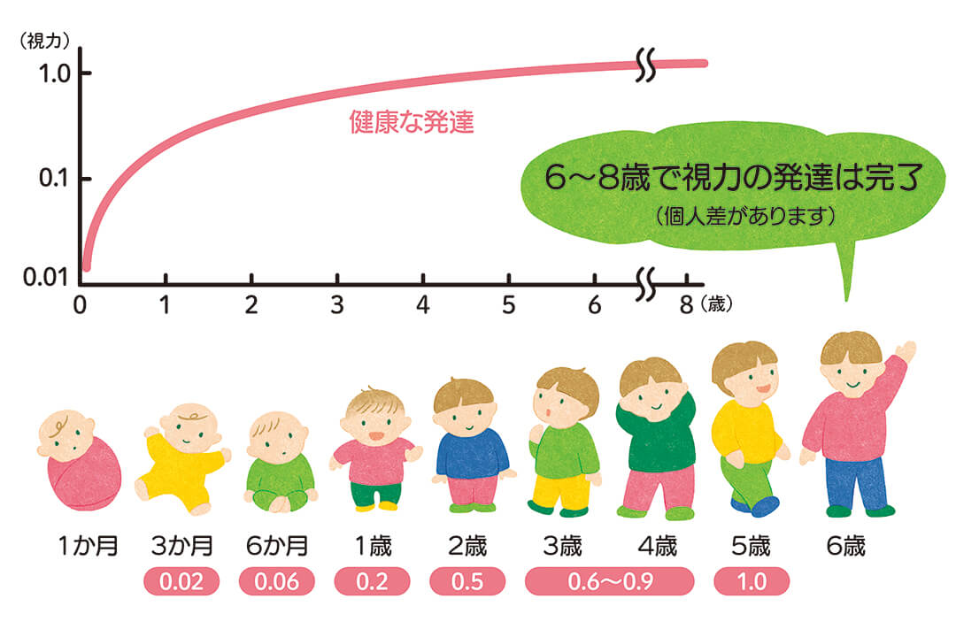 ６～８歳で視力の発達は完了