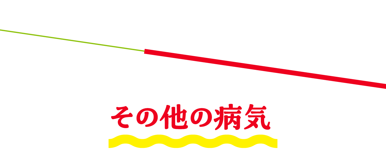 その他の病気