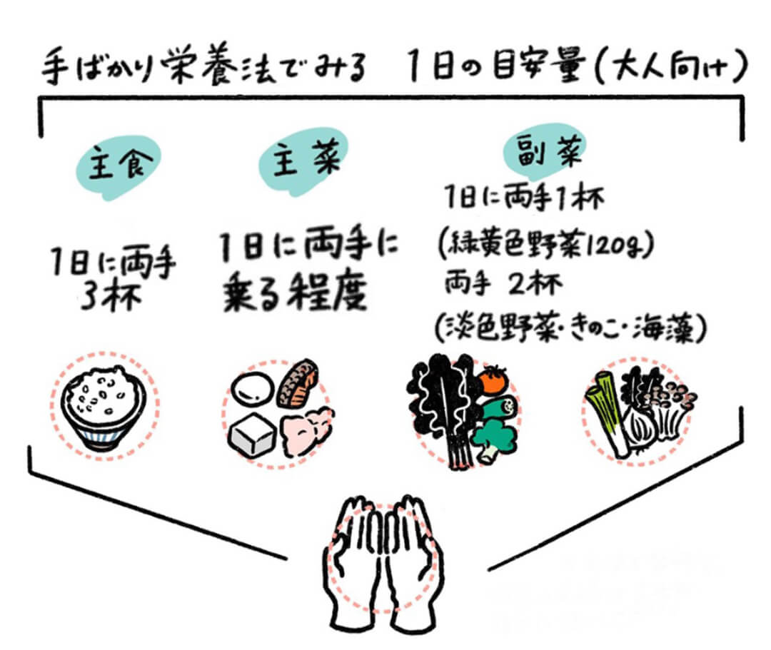 手ばかり栄養法でみる１日の目安量（大人向け）