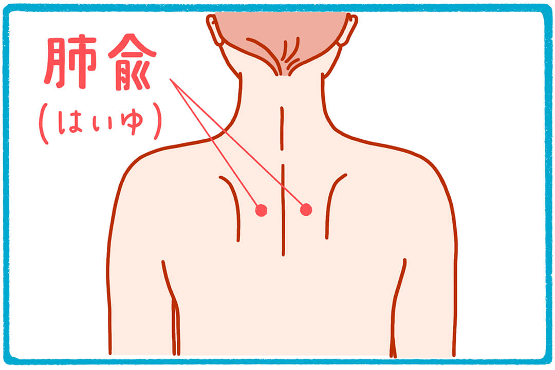 肺兪（はいゆ）呼吸器の調子を整えるのに有効なツボ