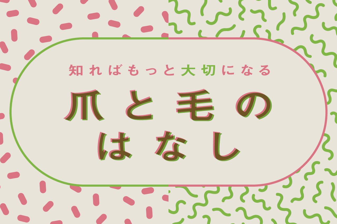 知ればもっと大切になる 爪と毛のはなし_eyecatch