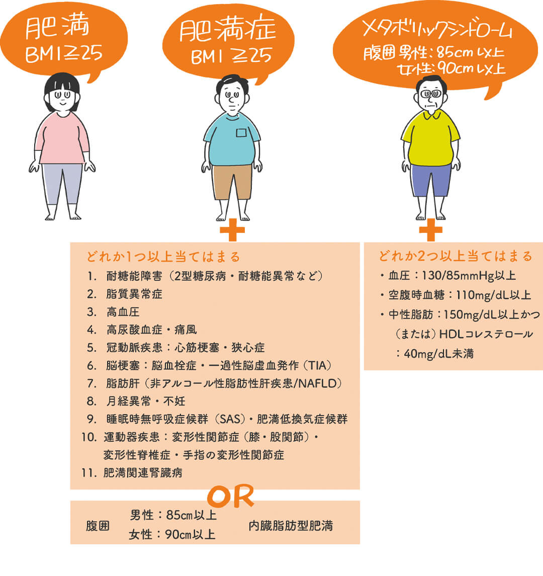 肥満・肥満症・メタボリックシンドロームの違い