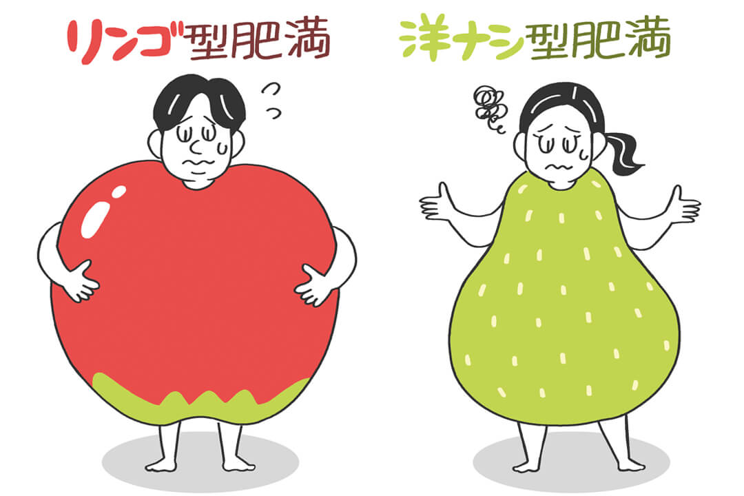 リンゴ型の内臓脂肪型肥満と、洋ナシ型の皮下脂肪型肥満