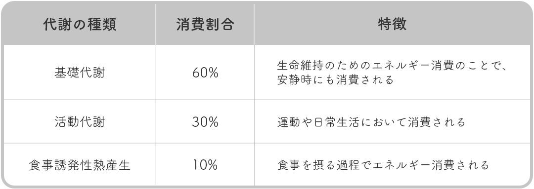 基礎代謝・活動代謝・食事誘発性熱産生の割合と特徴