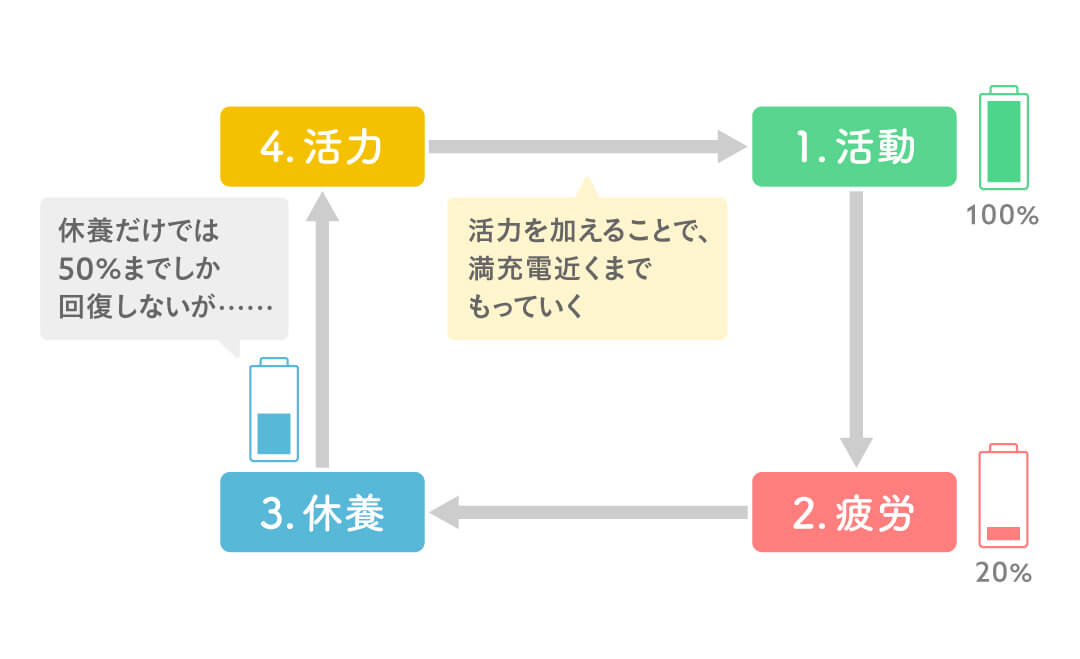 理想の休養サイクル